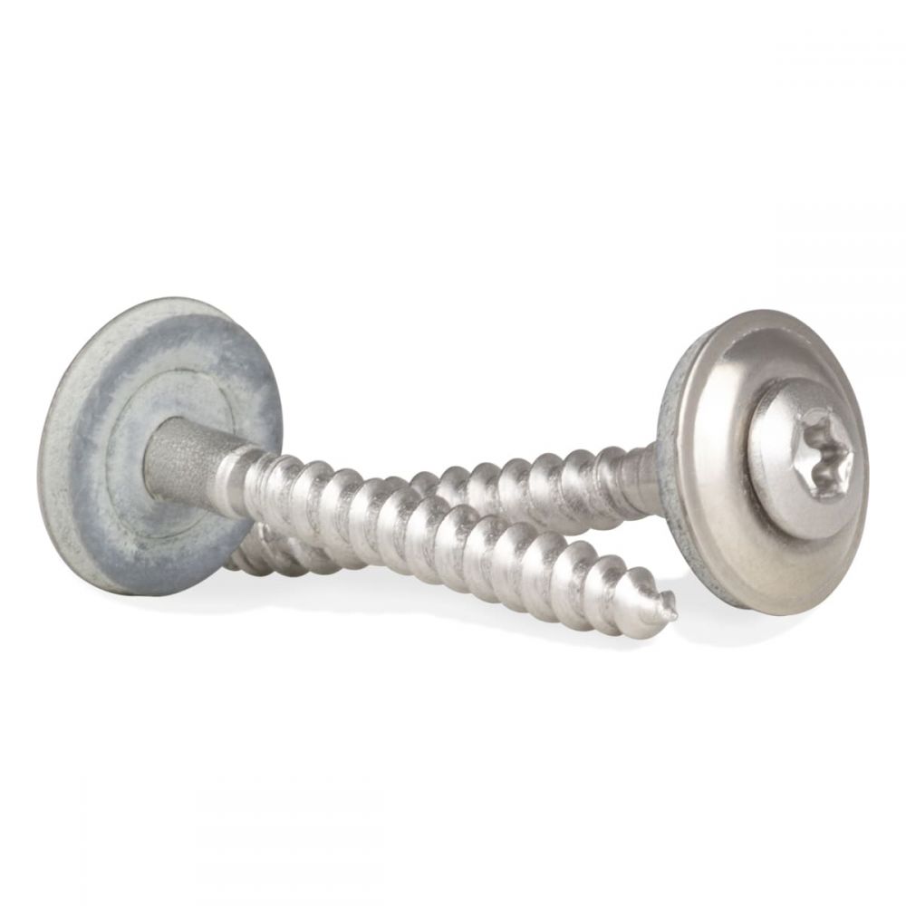 Daktrim schroef en ring RVS 4,5x30